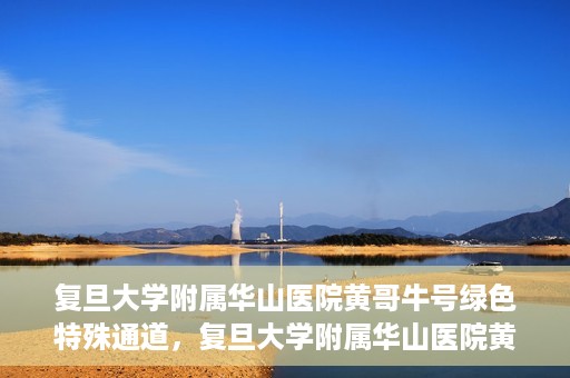 复旦大学附属华山医院黄哥牛号绿色特殊通道，复旦大学附属华山医院黄哥牛号，绿色特殊通道开启健康之门