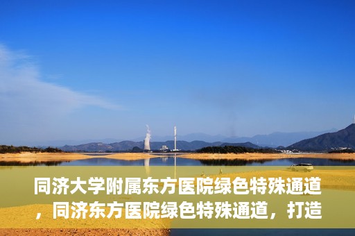 同济大学附属东方医院绿色特殊通道，同济东方医院绿色特殊通道，打造健康之路的新篇章