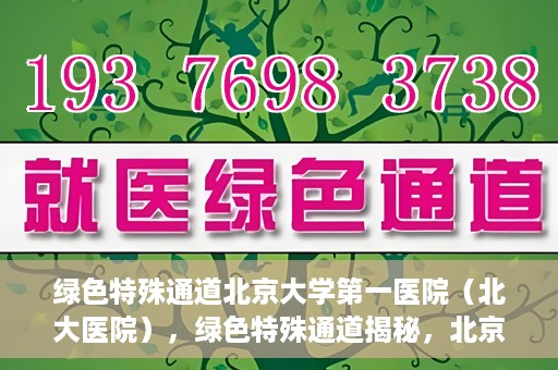 绿色特殊通道北京大学第一医院（北大医院），绿色特殊通道揭秘，北京大学第一医院（北大医院）的医学探索之旅