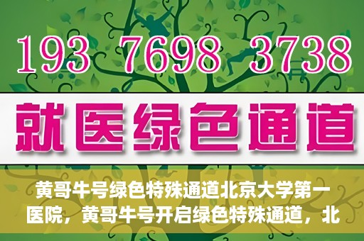 黄哥牛号绿色特殊通道北京大学第一医院，黄哥牛号开启绿色特殊通道，北京大学第一医院全力护航健康之路