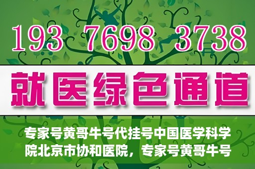 专家号黄哥牛号代挂号中国医学科学院北京市协和医院，专家号黄哥牛号揭秘，协和医院的代挂号服务解析
