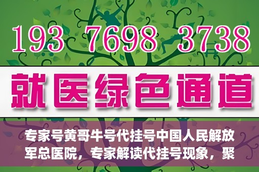 专家号黄哥牛号代挂号中国人民解放军总医院，专家解读代挂号现象，聚焦中国人民解放军总医院黄哥牛号事件