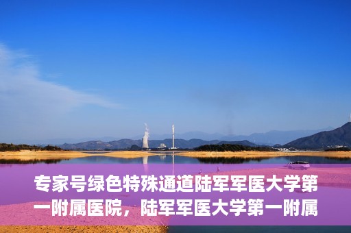 专家号绿色特殊通道陆军军医大学第一附属医院，陆军军医大学第一附属医院专家号绿色特殊通道揭秘