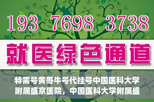 特需号黄哥牛号代挂号中国医科大学附属盛京医院，中国医科大学附属盛京医院特需号黄哥牛号代挂号服务详解