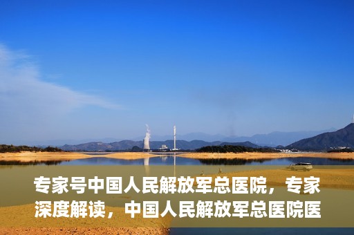 专家号中国人民解放军总医院，专家深度解读，中国人民解放军总医院医疗力量与前沿技术解析