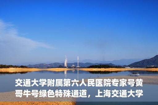 交通大学附属第六人民医院专家号黄哥牛号绿色特殊通道，上海交通大学附属第六人民医院专家号黄哥牛号，绿色特殊通道揭秘