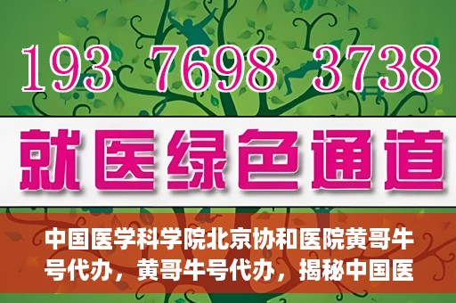 中国医学科学院北京协和医院黄哥牛号代办，黄哥牛号代办，揭秘中国医学科学院北京协和医院背后的故事