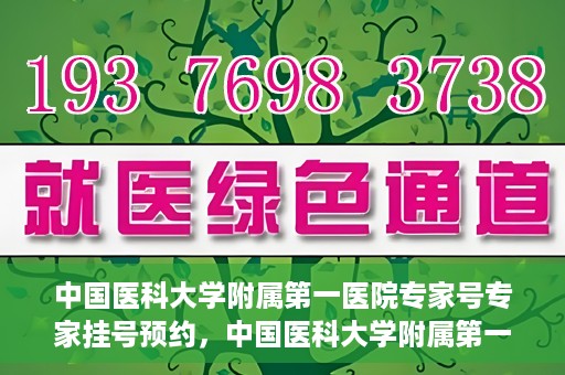 中国医科大学附属第一医院专家号专家挂号预约，中国医科大学附属第一医院专家挂号预约攻略，专业医师团队在线预约指导