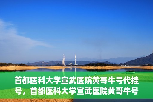 首都医科大学宣武医院黄哥牛号代挂号，首都医科大学宣武医院黄哥牛号助您轻松预约挂号