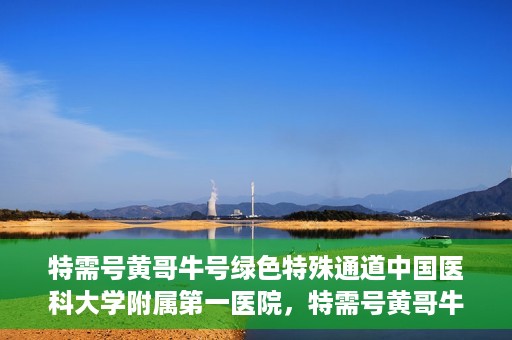 特需号黄哥牛号绿色特殊通道中国医科大学附属第一医院，特需号黄哥牛号，中国医科大学附属第一医院开辟绿色特殊通道