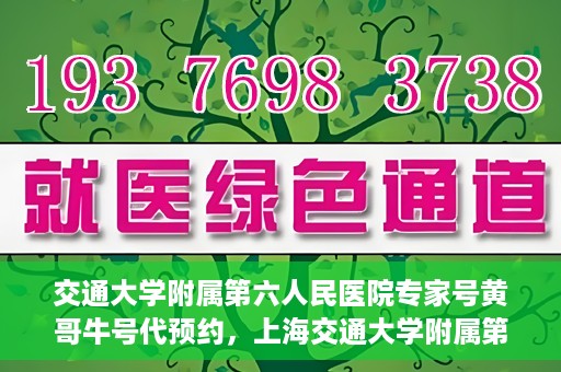 交通大学附属第六人民医院专家号黄哥牛号代预约，上海交通大学附属第六人民医院专家号预约服务解析，黄哥牛号预约指南