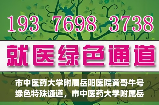 市中医药大学附属岳阳医院黄哥牛号绿色特殊通道，市中医药大学附属岳阳医院黄哥牛号，绿色特殊通道开启健康之门