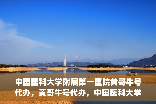 中国医科大学附属第一医院黄哥牛号代办，黄哥牛号代办，中国医科大学附属第一医院挂号服务新动向