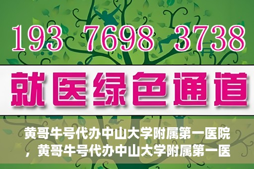黄哥牛号代办中山大学附属第一医院，黄哥牛号代办中山大学附属第一医院业务手续全攻略