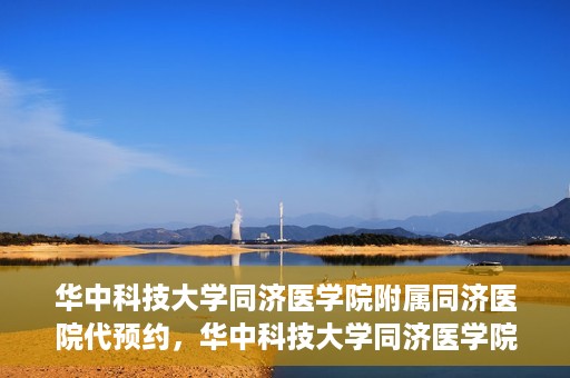 华中科技大学同济医学院附属同济医院代预约，华中科技大学同济医学院附属同济医院便捷预约服务解析