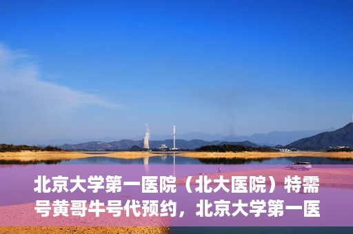 北京大学第一医院（北大医院）特需号黄哥牛号代预约，北京大学第一医院黄哥牛号特需号预约服务解析