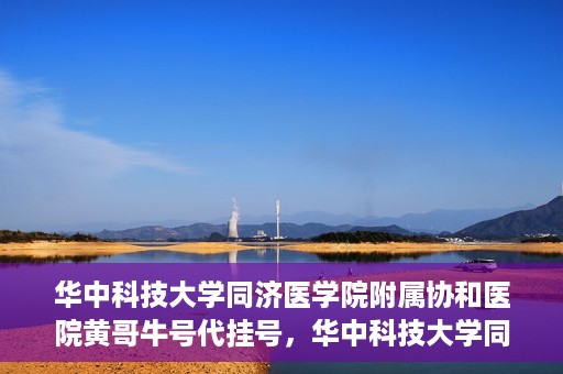 华中科技大学同济医学院附属协和医院黄哥牛号代挂号，华中科技大学同济医学院附属协和医院黄哥牛号代挂号服务详解