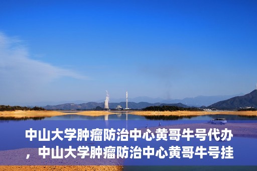 中山大学肿瘤防治中心黄哥牛号代办，中山大学肿瘤防治中心黄哥牛号挂号代办服务解析