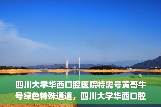 四川大学华西口腔医院特需号黄哥牛号绿色特殊通道，四川大学华西口腔医院特需号黄哥牛号，绿色特殊通道揭秘