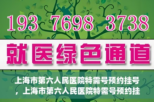 上海市第六人民医院特需号预约挂号，上海市第六人民医院特需号预约挂号攻略与指南