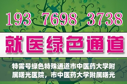 特需号绿色特殊通道市中医药大学附属曙光医院，市中医药大学附属曙光医院特需号绿色特殊通道，医疗服务的创新与升级