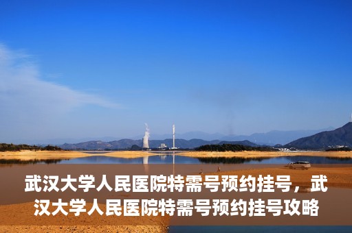 武汉大学人民医院特需号预约挂号，武汉大学人民医院特需号预约挂号攻略，一站式解决您的就医需求