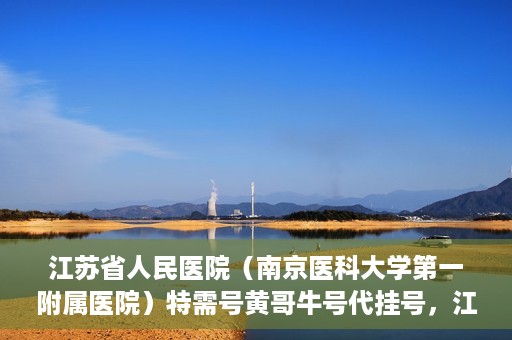 江苏省人民医院（南京医科大学第一附属医院）特需号黄哥牛号代挂号，江苏省人民医院特需号黄哥牛号代挂号服务解析