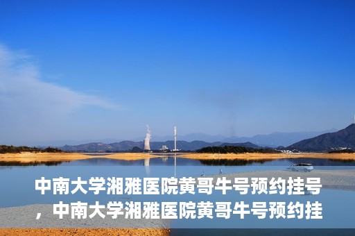 中南大学湘雅医院黄哥牛号预约挂号，中南大学湘雅医院黄哥牛号预约挂号攻略，轻松挂号，无忧就医体验