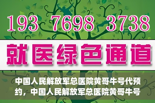 中国人民解放军总医院黄哥牛号代预约，中国人民解放军总医院黄哥牛号预约服务解析