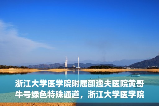 浙江大学医学院附属邵逸夫医院黄哥牛号绿色特殊通道，浙江大学医学院附属邵逸夫医院绿色特殊通道，黄哥牛号的传奇之路