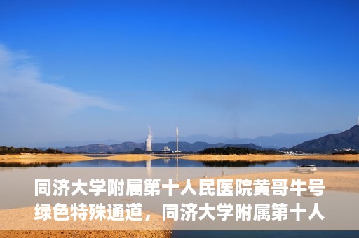 同济大学附属第十人民医院黄哥牛号绿色特殊通道，同济大学附属第十人民医院黄哥牛号，绿色特殊通道开启健康之门