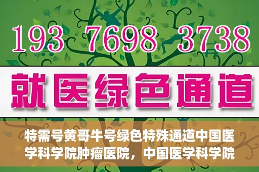 特需号黄哥牛号绿色特殊通道中国医学科学院肿瘤医院，中国医学科学院肿瘤医院特需号黄哥牛号绿色特殊通道揭秘