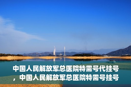 中国人民解放军总医院特需号代挂号，中国人民解放军总医院特需号挂号服务解析