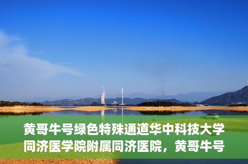 黄哥牛号绿色特殊通道华中科技大学同济医学院附属同济医院，黄哥牛号绿色特殊通道，华中科技大学同济医学院附属同济医院的探索与实践