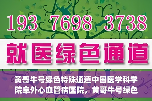 黄哥牛号绿色特殊通道中国医学科学院阜外心血管病医院，黄哥牛号绿色就医通道，中国医学科学院阜外心血管病医院的探索与实践