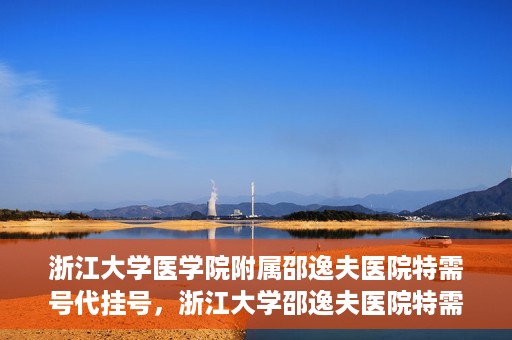 浙江大学医学院附属邵逸夫医院特需号代挂号，浙江大学邵逸夫医院特需号代挂号服务解析