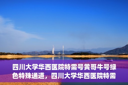 四川大学华西医院特需号黄哥牛号绿色特殊通道，四川大学华西医院特需号黄哥牛号，绿色特殊通道揭秘