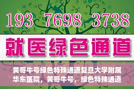 黄哥牛号绿色特殊通道复旦大学附属华东医院，黄哥牛号，绿色特殊通道揭秘，华东医院新篇章开启