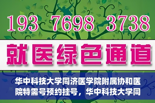 华中科技大学同济医学院附属协和医院特需号预约挂号，华中科技大学同济医学院附属协和医院特需号预约挂号服务详解