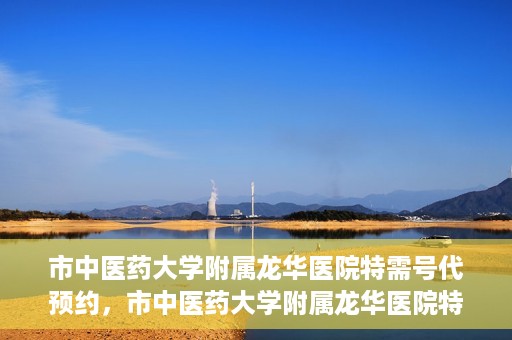 市中医药大学附属龙华医院特需号代预约，市中医药大学附属龙华医院特需号预约服务解析