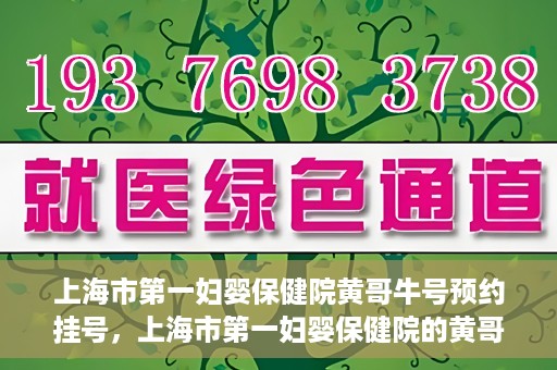 上海市第一妇婴保健院黄哥牛号预约挂号，上海市第一妇婴保健院的黄哥牛号预约挂号攻略
