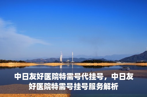 中日友好医院特需号代挂号，中日友好医院特需号挂号服务解析
