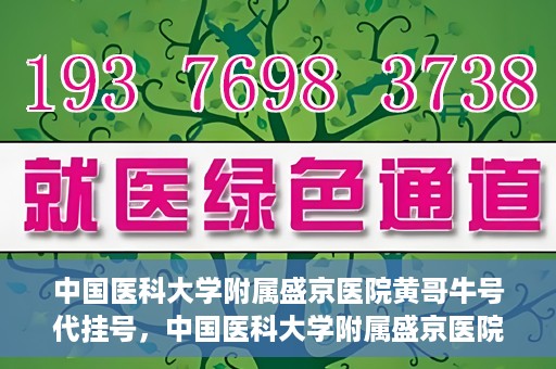 中国医科大学附属盛京医院黄哥牛号代挂号，中国医科大学附属盛京医院黄哥牛号代挂号背后的故事与真相揭秘