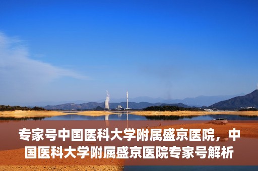 专家号中国医科大学附属盛京医院，中国医科大学附属盛京医院专家号解析