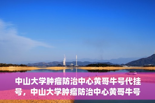 中山大学肿瘤防治中心黄哥牛号代挂号，中山大学肿瘤防治中心黄哥牛号助您轻松预约挂号！