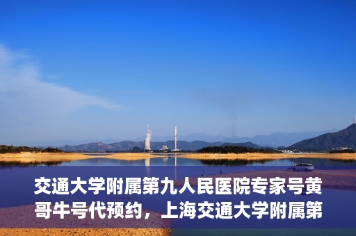 交通大学附属第九人民医院专家号黄哥牛号代预约，上海交通大学附属第九医院专家号预约服务黄哥牛号代预约服务解析