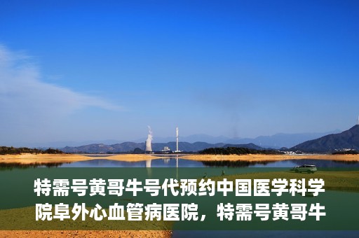 特需号黄哥牛号代预约中国医学科学院阜外心血管病医院，特需号黄哥牛号预约服务在中国医学科学院阜外心血管病医院开通