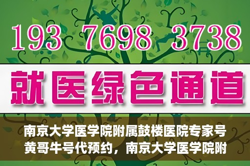 南京大学医学院附属鼓楼医院专家号黄哥牛号代预约，南京大学医学院附属鼓楼医院专家号预约服务解析，黄哥牛号代预约详解