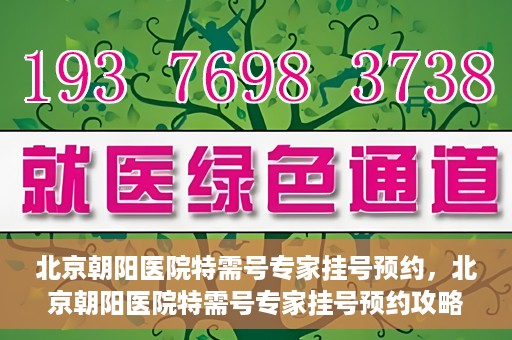 北京朝阳医院特需号专家挂号预约，北京朝阳医院特需号专家挂号预约攻略，一站式预约服务体验