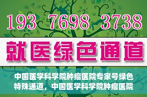 中国医学科学院肿瘤医院专家号绿色特殊通道，中国医学科学院肿瘤医院专家号绿色特殊通道，健康守护的快捷通道